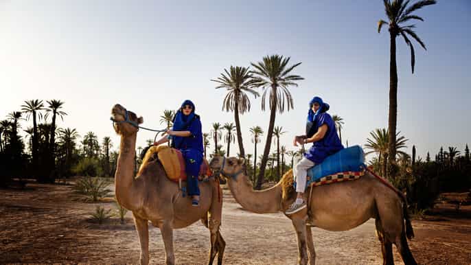 marrakech 1/2 jour balade chameau dans la palmeraie