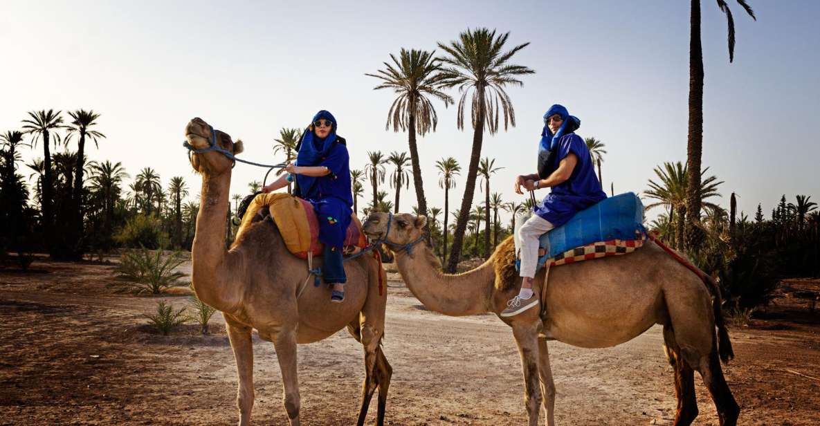voyage en chameau maroc