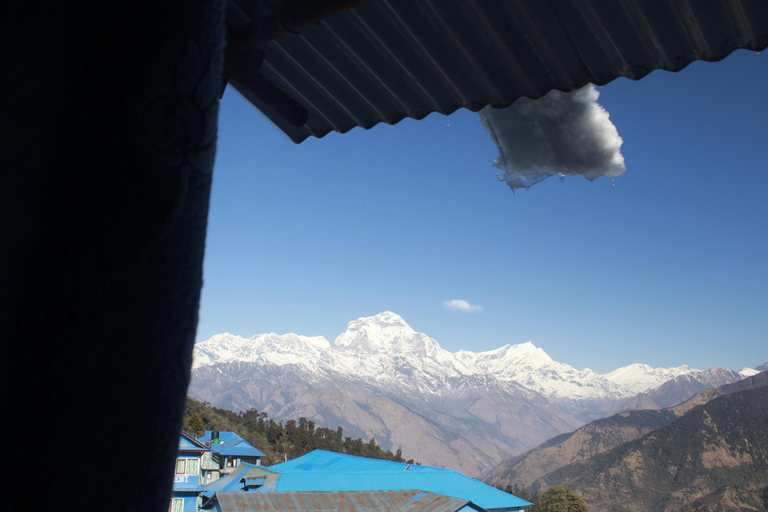 Pokhara: 4 Day Poon Hill Trek with 3 Day National Park Tour