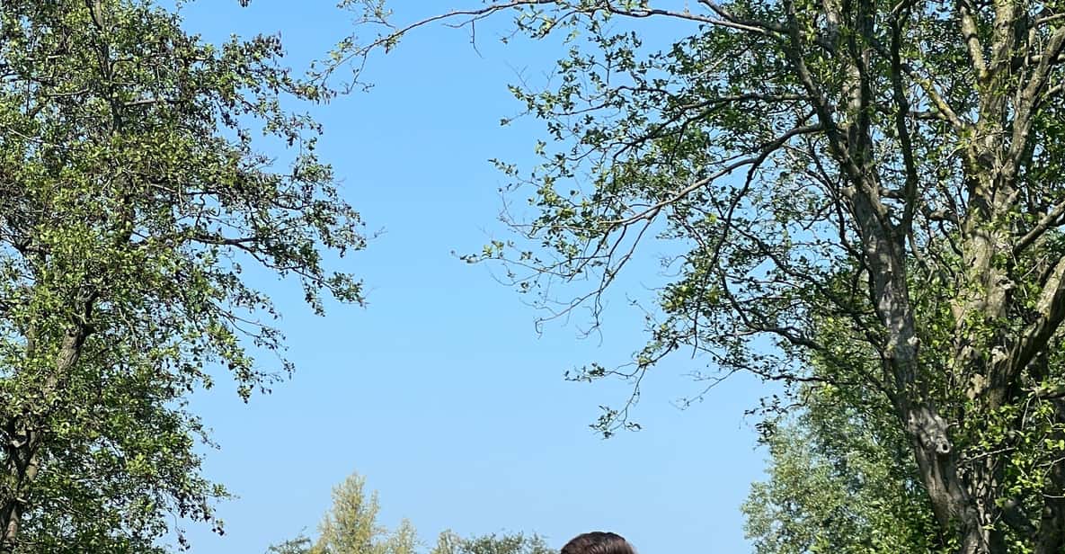 Afbeelding 9 van Amsterdam: Mike's Windmills E-Bike Tour naar Zaanse Schans