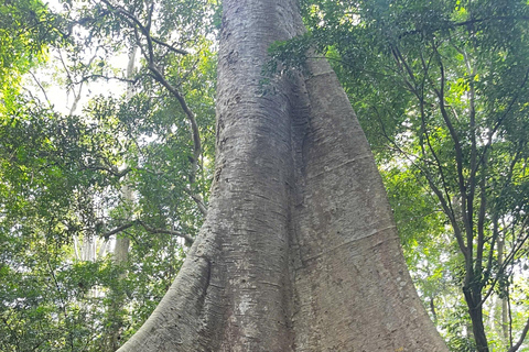 From HCMC: Cat Tien Jungle, Morning & Night safari included Group trip (from 2-5)