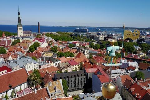 Tallinn: 3-stündiger Mittelalter-RundgangTour auf Englisch und Russisch