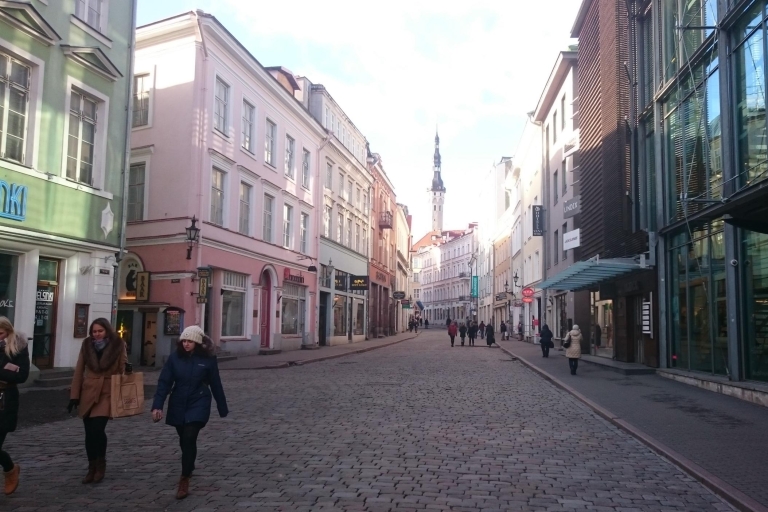 Tallinn: halve dagtour