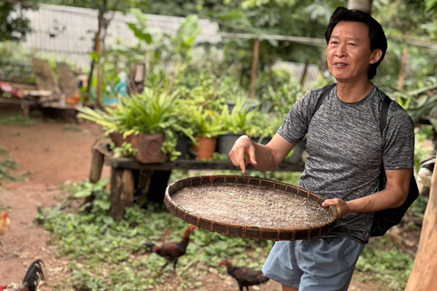 Chiang Mai: 1-Day Jungle Trekking in the Doi Inthanon Area