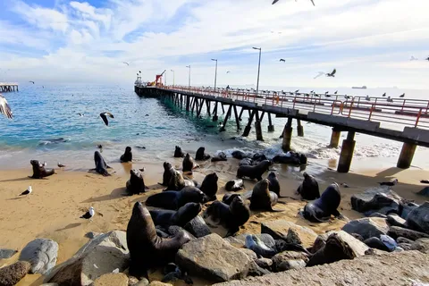 Santiago: Recorrido a pie por Valparaíso y cata de vinos en Casablanca