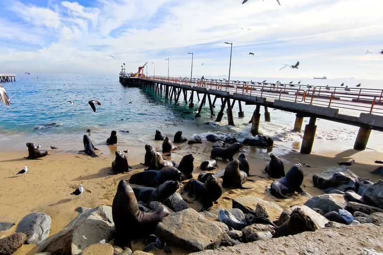 Santiago: Private Transfer To San Antonio via Valparaiso