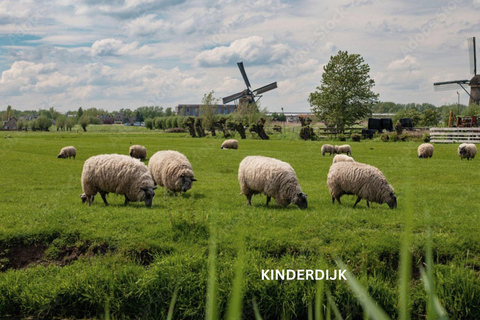 Rotterdam und Kinderdijk Tägliche Rundgangs- und Bootstour