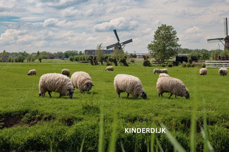 Visite à pied et en bateau de Rotterdam et de Kinderdijk (journée)