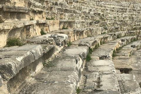 Roma: tour para grupos pequeños del Coliseo y el Foro Romano con recogidaTour en ingles