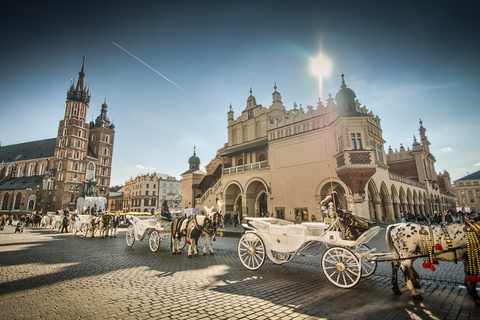 Van Warschau: Krakow Sightseeing Tour met de Sneltrein