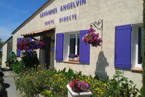 Ab Kreuzfahrthafen Marseille: Lavendel-Gruppentour