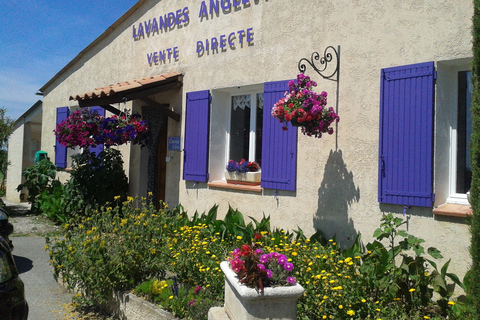 From Marseille Cruise Port: Shared Lavender Tour