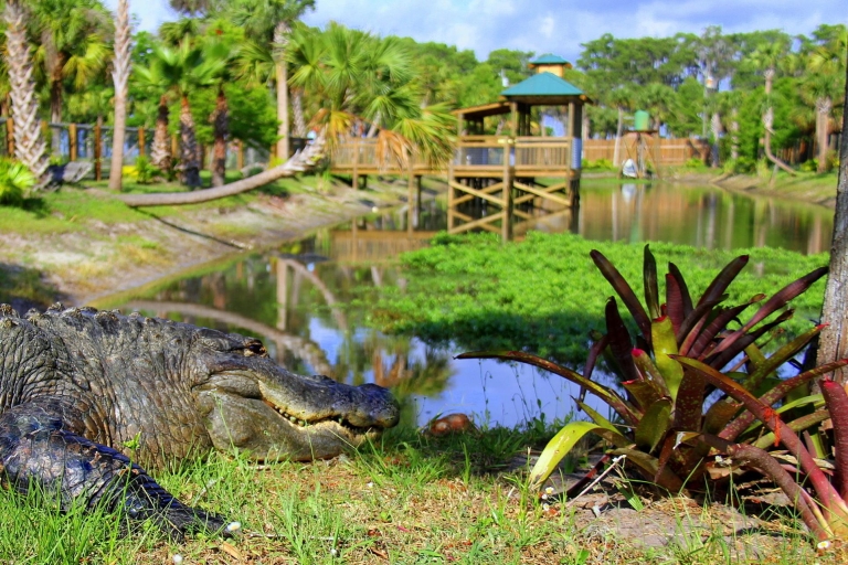 Orlando: Full Day Adventure with Airboat Ride 1-Hour Boat Airboat Option