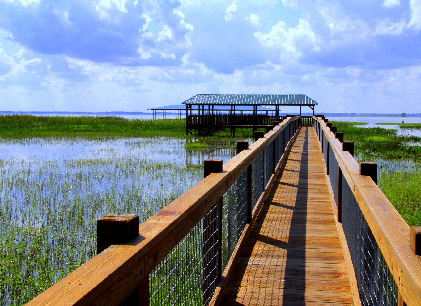 Orlando: Wild Florida Airboat Ride med transport og frokost