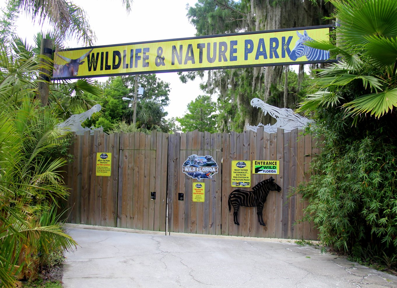 Orlando: Wild Florida Airboat Ride med transport og frokost