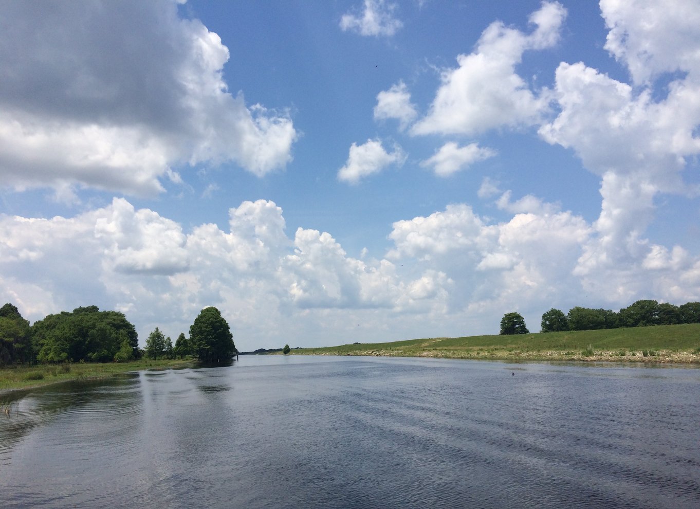 Orlando: Wild Florida Airboat Ride med transport og frokost