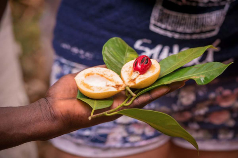 Zanzibar: Rundtur i Stone Town och besök på Spice Tour