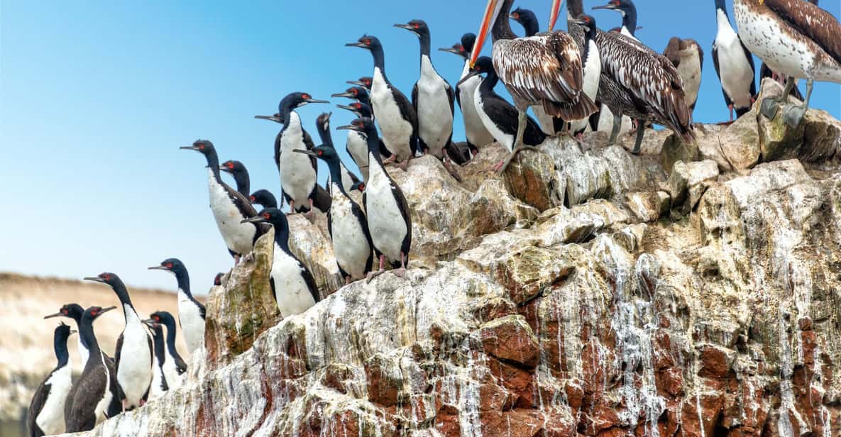 Salar de Uyuni (4 Tage) GetYourGuide