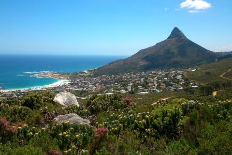 Table Mountain: Gentle Guided Meander for the Whole Family