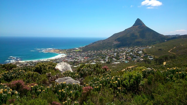 Table Mountain: Easy walk for the Whole Family - PRIVATE