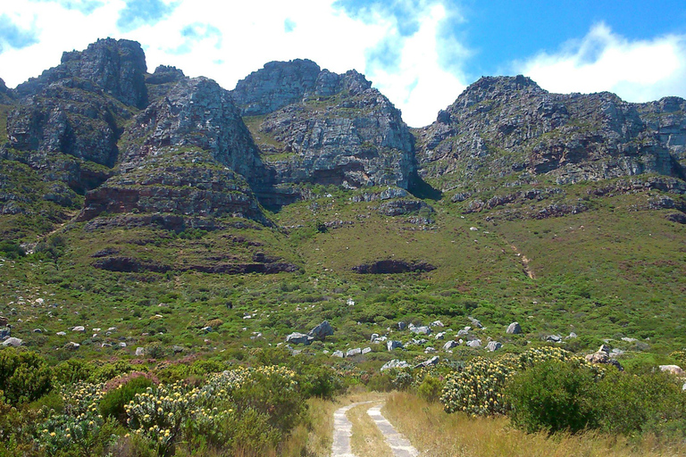 Table Mountain: suave meandro guiado para toda la familia