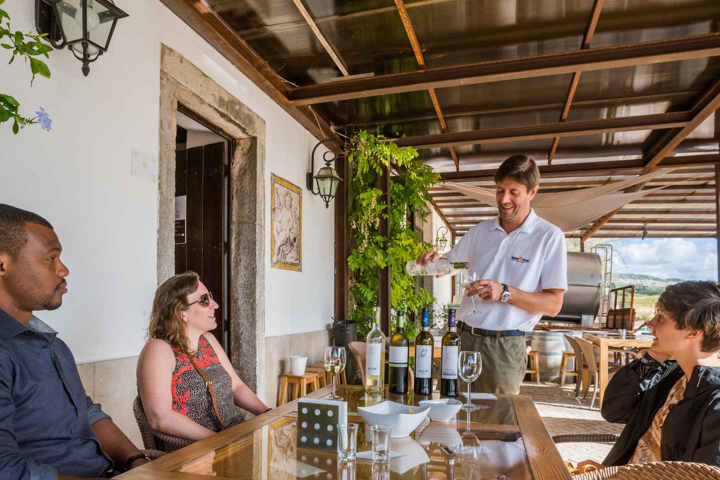 Lisbon Private Setbal Region Wine Tasting Tour - Tour in English or Portuguese