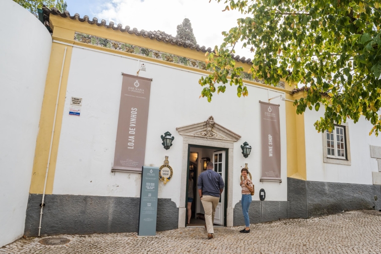 Lizbona Prywatna degustacja wina w regionie SetúbalWycieczka po niemiecku