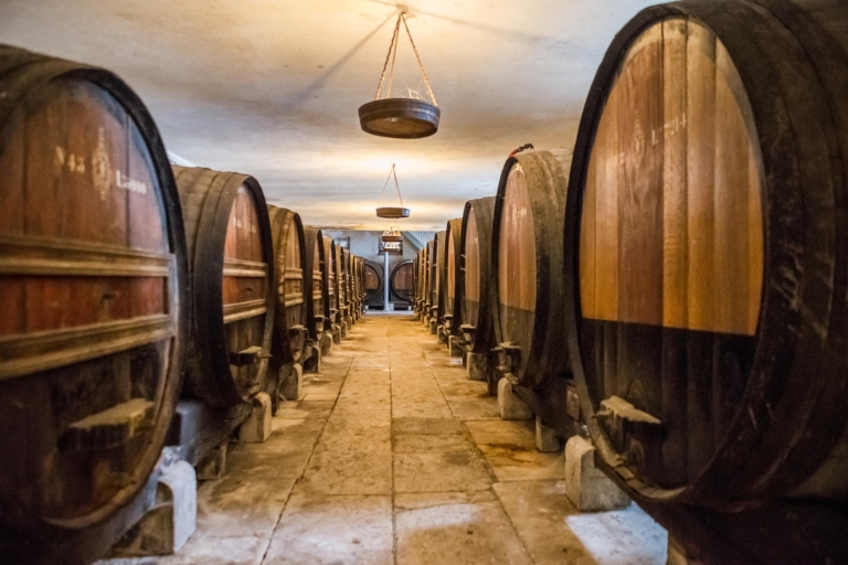 Lisboa: tour privado de cata de vino en la región de SetúbalTour en alemán
