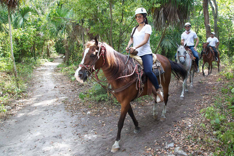 Randonnée à cheval dans la jungle tropicale