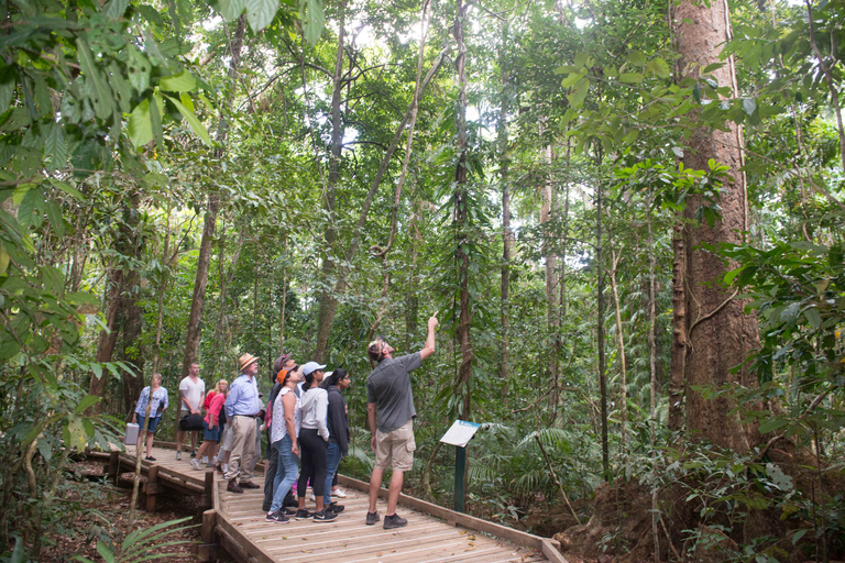 Från Cairns: Daintree Rainforest &amp; Cape Tribulation 4WD-turQueensland: Daintree &amp; Cape Tribulation 4WD-tur med upphämtning