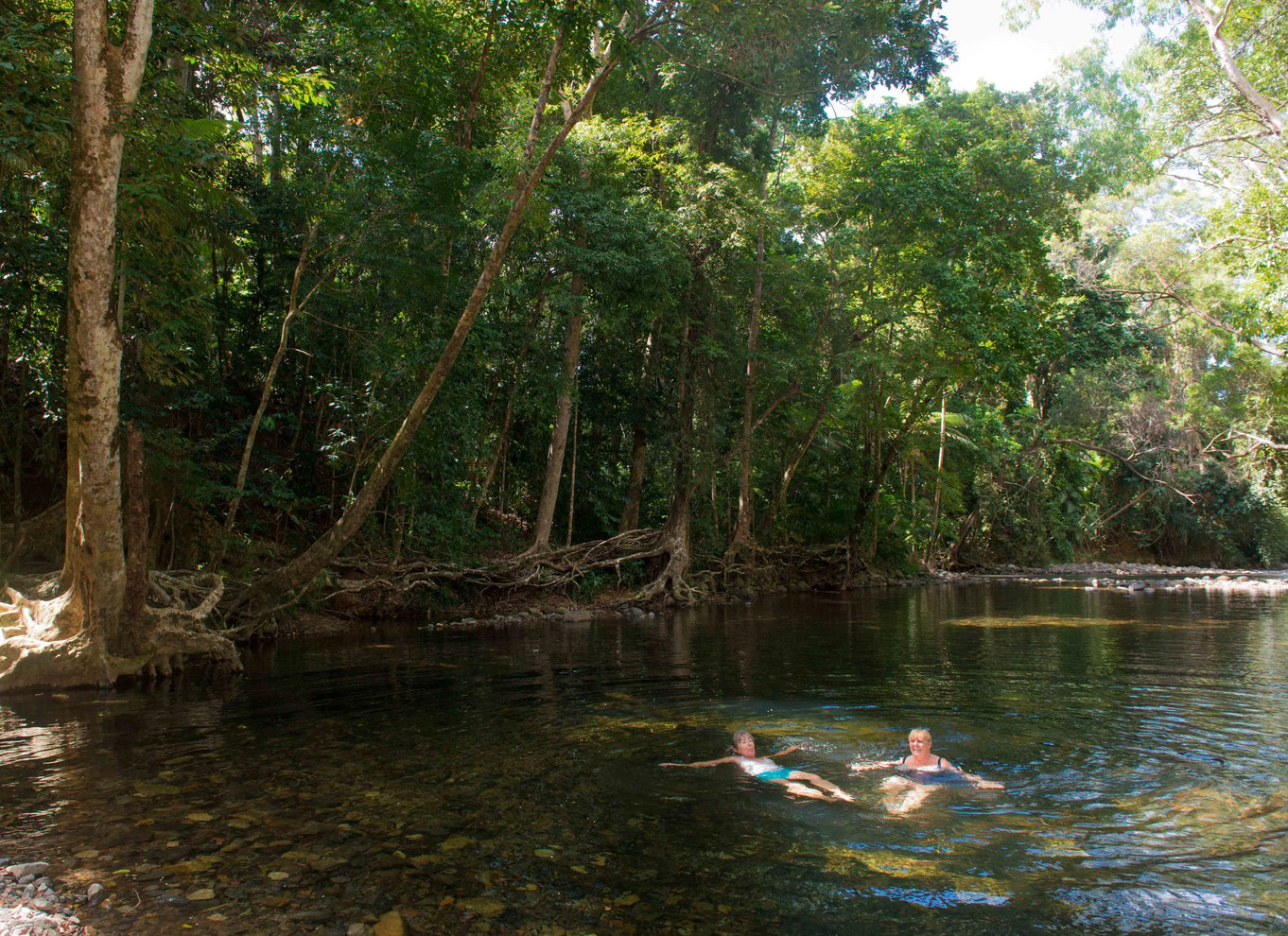 Fra Cairns: Daintree Rainforest & Cape Tribulation 4WD-tur