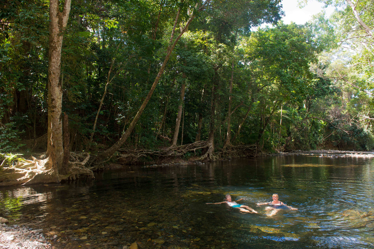 Daintree et Cape Tribulation : visite en petit groupe en 4x4Carte individuelle