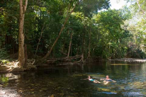 Daintree & Cape Tribulation Small Group 4WD Tour