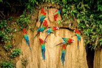 Excursion to Sandoval Lake 4D/3N + birdwatching - Housity