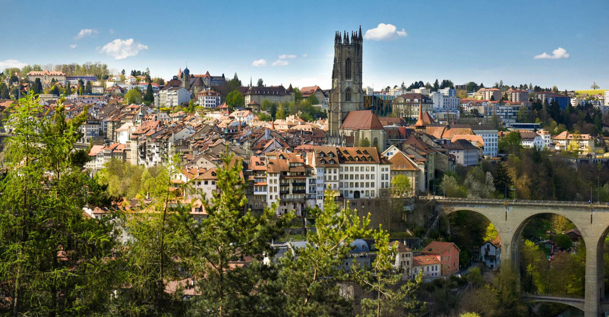 Viagem de Friborg e Gruyeres - Housity