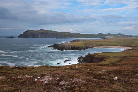 From Cork: Full-Day Guided Tour to Dingle Peninsula