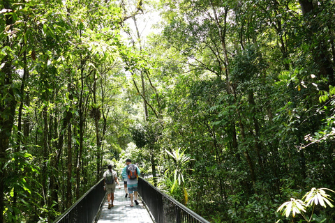 Cairns: Daintree Rainforest Traditional Aboriginal Fishing Daintree Rainforest: Ngadiku Dreamtime Walk