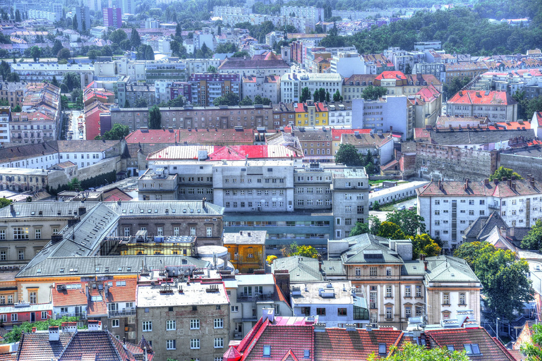 Desde Viena: viaje privado de día completo a Praga con coche de lujo