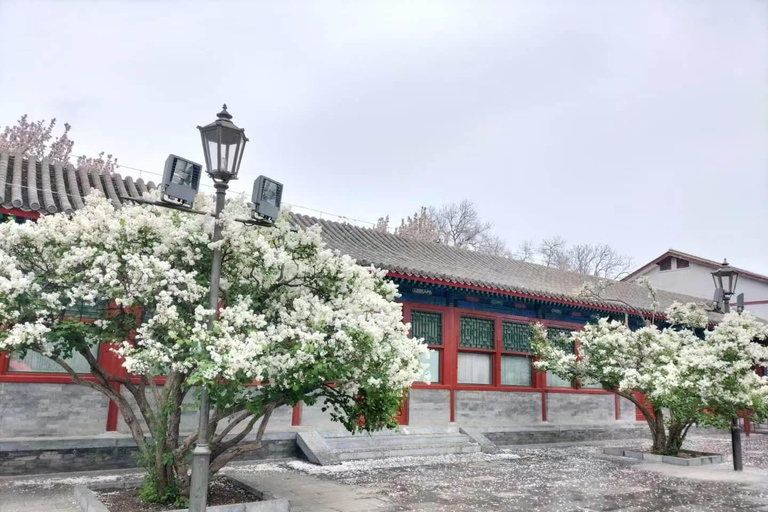 Beijing: Forbidden City, Tiananmen Square, & Great Wall Tour