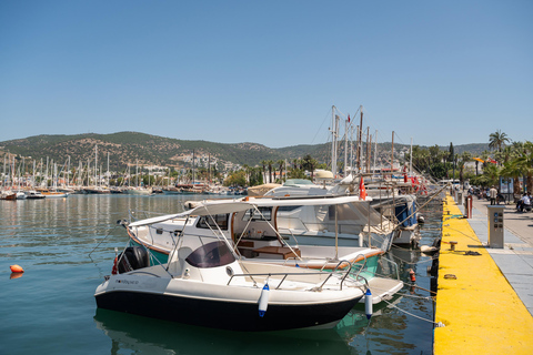 Från Kos: En dagsresa till Bodrum med bekväm transferResa till Bodrum med transfer