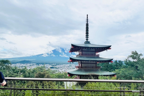 Från Tokyo: Fuji-berget eller Hakone Sightseeing Privat dagstur
