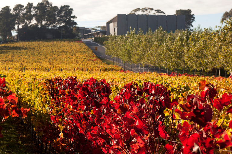 Día Posh-As de Moorilla en Mona: Experiencia de Arte y Vino