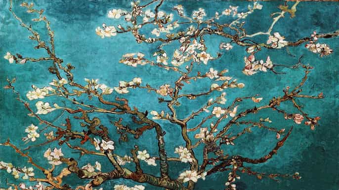 amsterdam van gogh museum tour including entry ticket