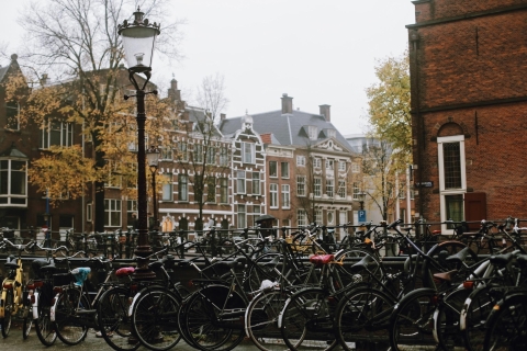 Amsterdam: Historyczna wycieczka po mieście z wizytą w RijksmuseumPrywatna wycieczka po francusku