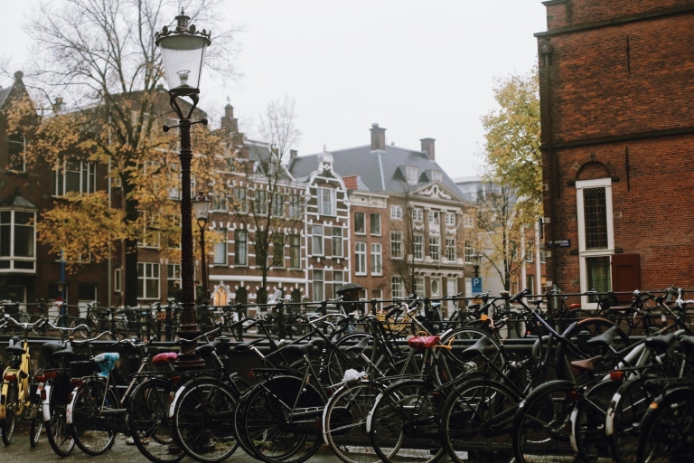Amsterdam: Historyczna wycieczka po mieście z wizytą w RijksmuseumPrywatna wycieczka po portugalsku