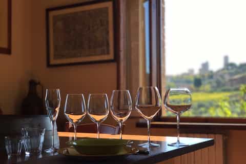 San Gimignano: Private Organic Winery Tour & Tasting