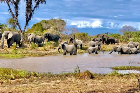 6 jours d&#039;aventures en Tanzanie