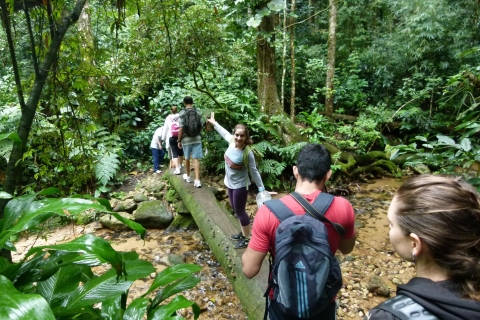 Rio: Tijuca Forest Historical Hike & Cachoeira das Almas Private Tour with Transportation