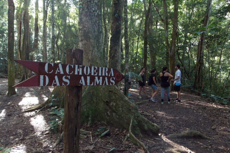 Río: caminata histórica del bosque de Tijuca y Cachoeira das AlmasTour compartido sin transporte