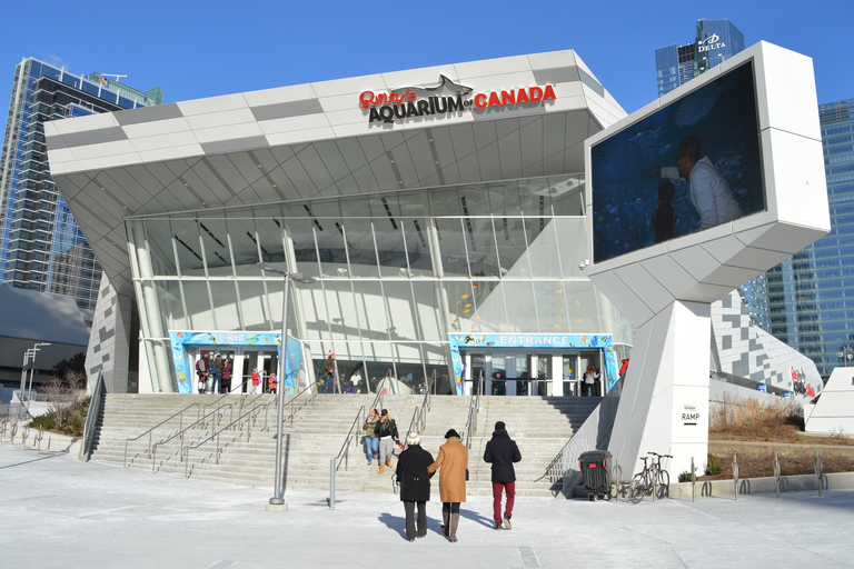 Voorrangsticket voor Ripley&#039;s Aquarium of CanadaHaaien in het donker